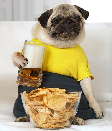 Is Potato chips safe for your dog