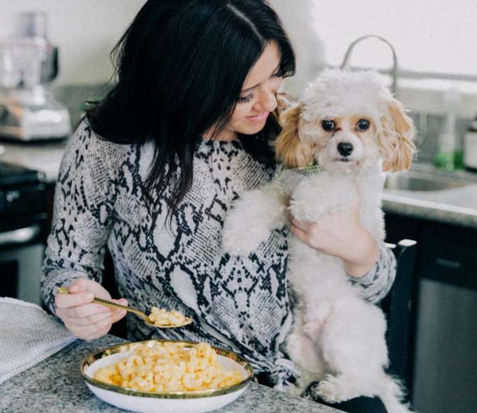 Is Mac and Cheese good for Dogs